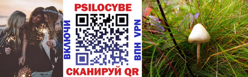 omg маркетплейс где купить наркоту Фатеж Галлюциногенные грибы Psilocybe